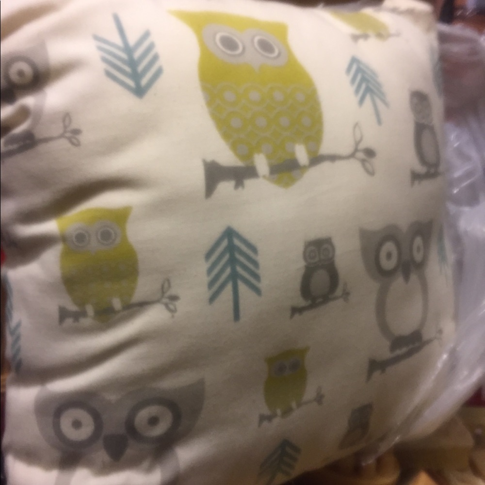 Owl themed pillow (12x12)
